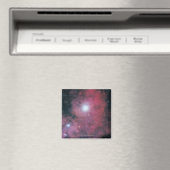 Dumbell Nebula Magneet (Insitu (Vaatwasser))