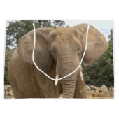 Dumbo-cadeautas Large Cadeautasje (Voorkant)