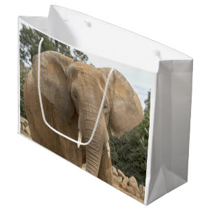 Dumbo-cadeautas Large Cadeautasje
