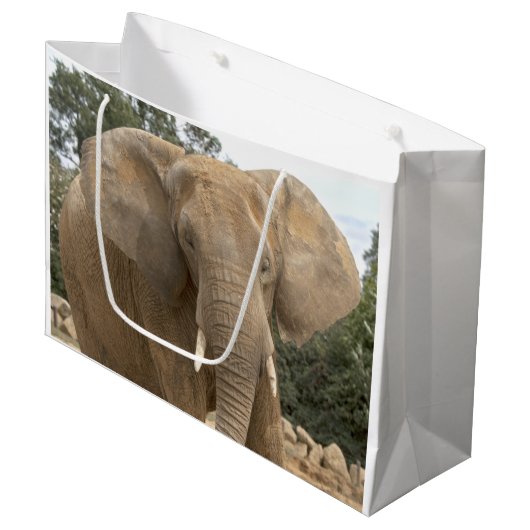 Dumbo-cadeautas Large Cadeautasje (Voorkant Gekanteld)