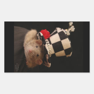 Dumbo Fancy Rat in een schattig pet Rechthoekige Sticker