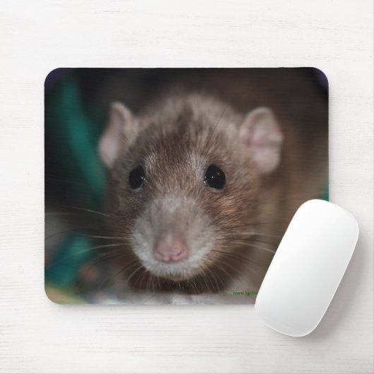 Dumbo Fancy Rat Mousepad Muismat (Met muis)