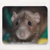 Dumbo Fancy Rat Mousepad Muismat (Voorkant)