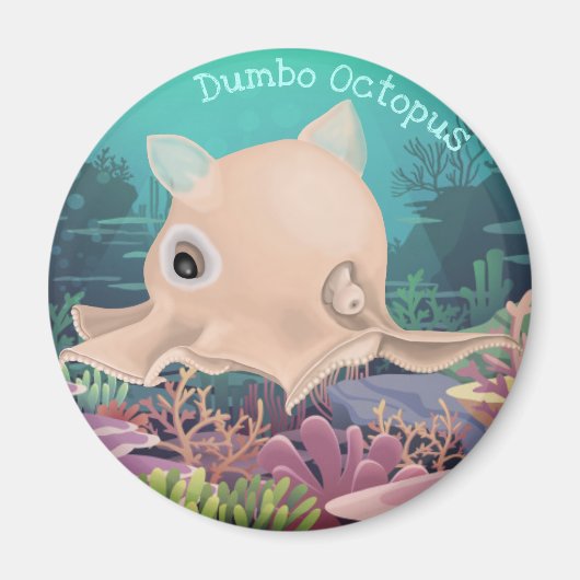 Dumbo Octopus Magneet (Voorkant)