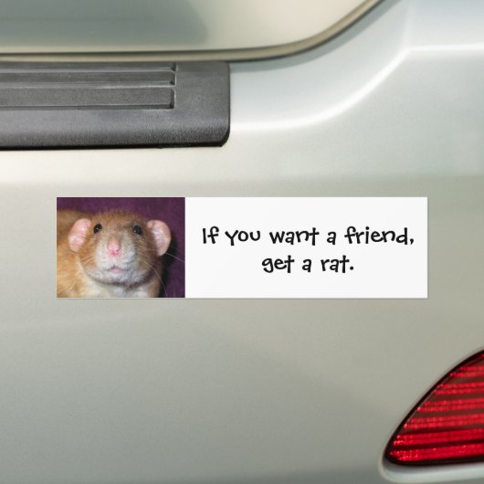 Dumbo rat bumpersticker (Op auto)