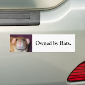 Dumbo Rat Bumpersticker (Op auto)