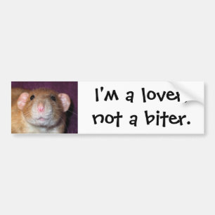 Dumbo rat bumpersticker
