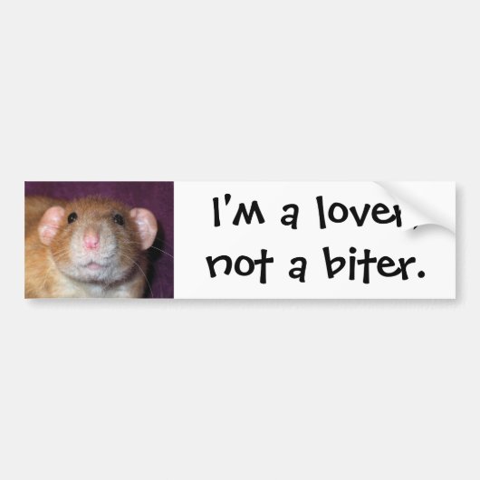 Dumbo rat bumpersticker (Voorkant)