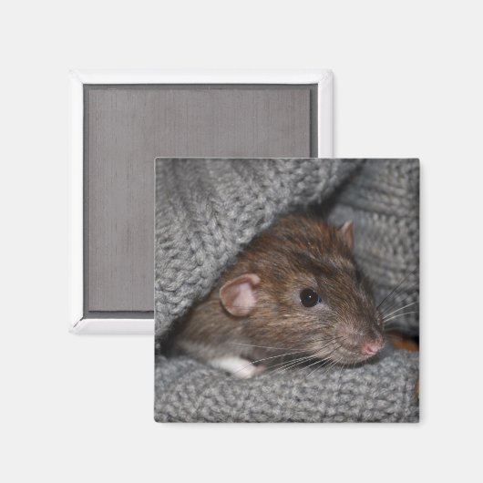 Dumbo Rat Magnet (Voorkant / Achterkant)