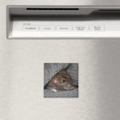Dumbo Rat Magnet (Insitu (Vaatwasser))
