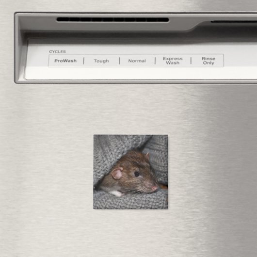 Dumbo Rat Magnet (Insitu (Vaatwasser))