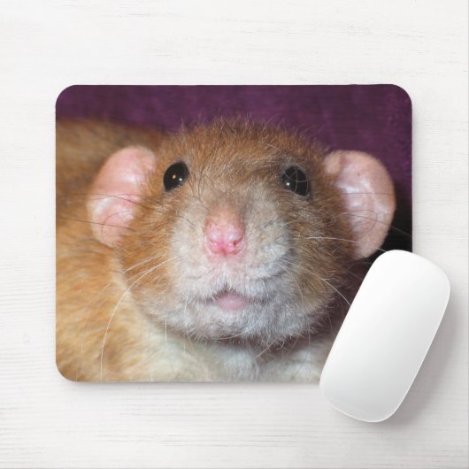 Dumbo Rat Mousepad Muismat (Met muis)