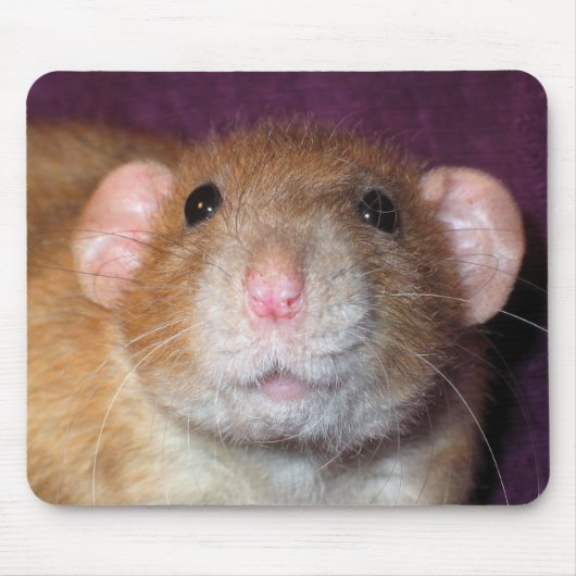 Dumbo Rat Mousepad Muismat (Voorkant)