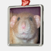 Dumbo Rat Ornament (Links)