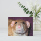 Dumbo Rat Post Card Briefkaart (Staand voorkant)