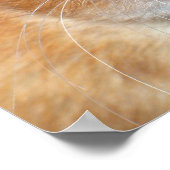 Dumbo Rat Poster (Hoek)