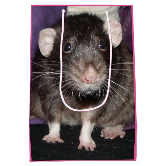 Dumbo rat Verjaardagscadeau tas Medium Cadeauzakje (Achterkant)