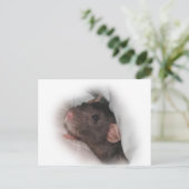 Dumbo rat wil spelen? briefkaart (Staand voorkant)