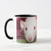 Dumbo Rats mok (Links)