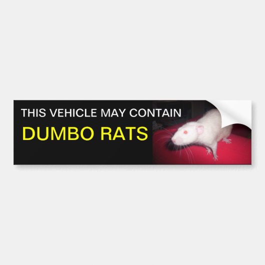 Dumbo ratten bumper sticker (Voorkant)