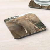 Dumbo Set van 6 onderzetters (Linkerzijde)