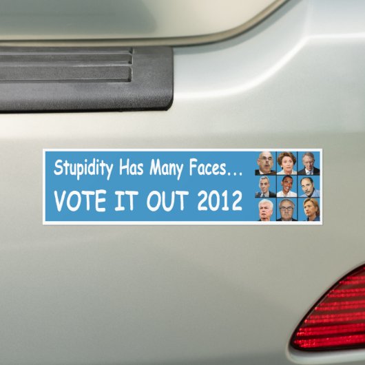 Dummies Bumpersticker (Op auto)