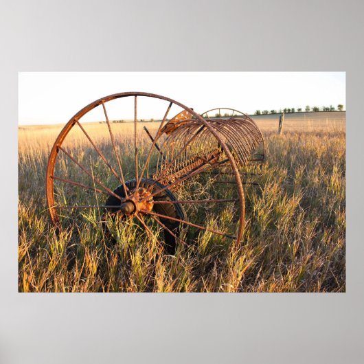 Dump Rake Poster (Voorkant)