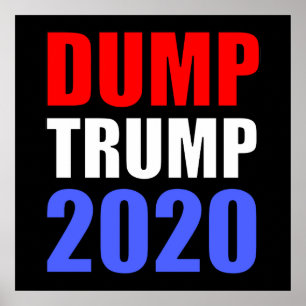 Dump Trump 2020 Anti-Trump Poster