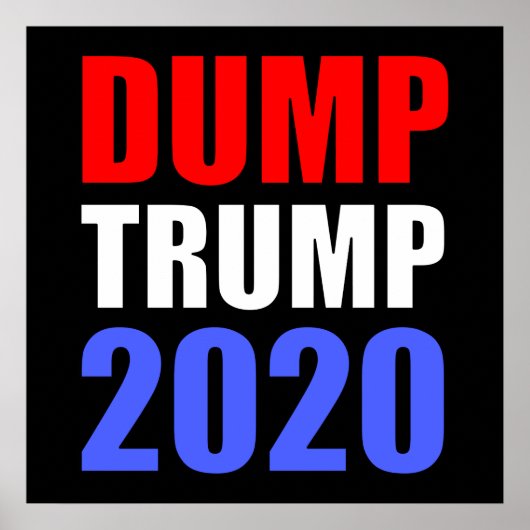 Dump Trump 2020 Anti-Trump Poster (Voorkant)