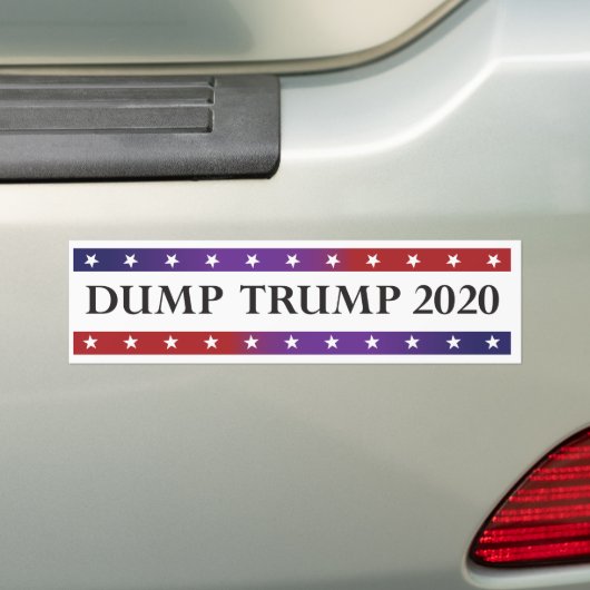 Dump Trump 2020 Bumpersticker (Op auto)