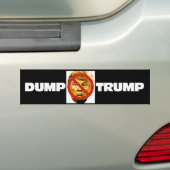 DUMP TRUMP! BUMPERSTICKER (Op auto)