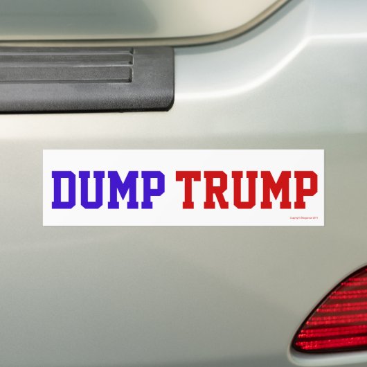 Dump Trump Bumpersticker (Op auto)