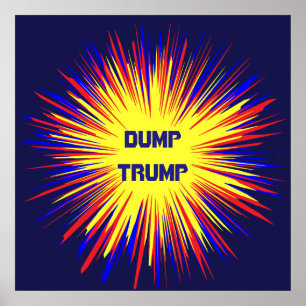 Dump Trump Politiek Poster