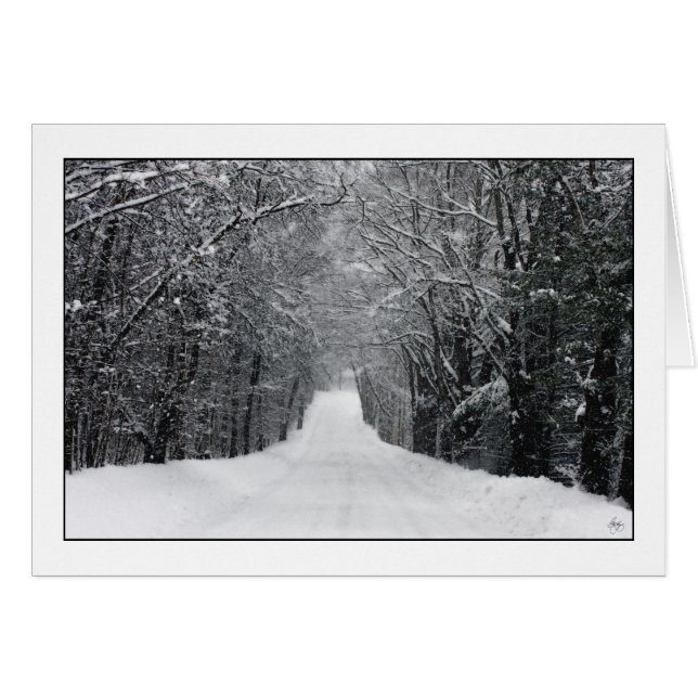 Dumprun Snowstorm (Voorkant Horizontaal)