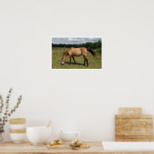 Dun Connemara Pony, Paarden, grazen in pasta Poster (Keuken)