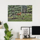 Dun Ranch Horse Cantering in Forest Equine Photo Poster (Thuiskantoor)