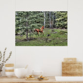 Dun Ranch Horse Cantering in Forest Equine Photo Poster (Keuken)