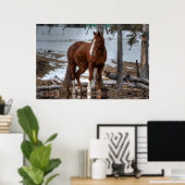 Dun Ranch Horse Drink Hole Equine-foto Poster (Thuiskantoor)