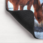 Dun Ranch Horse Drink op Pool Equine Photo Muismat (Hoek)