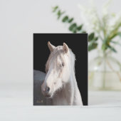 Dunalino American Bashkir Curly briefkaart (Staand voorkant)