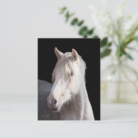 Dunalino American Bashkir Curly briefkaart (Staand voorkant)