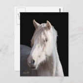 Dunalino American Bashkir Curly briefkaart (Voorkant / Achterkant)