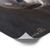 Dunalino American Bashkir, op vlotte wijze gefilmd Poster (Hoek)