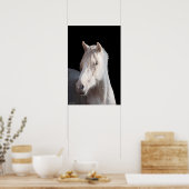 Dunalino American Bashkir, op vlotte wijze gefilmd Poster (Keuken)