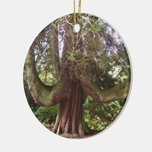 DUNANS TREE Scotland Keramisch Ornament (Links)