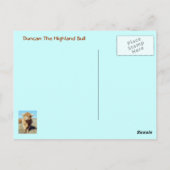 Duncan The Highland Bull Briefkaart (Achterkant)