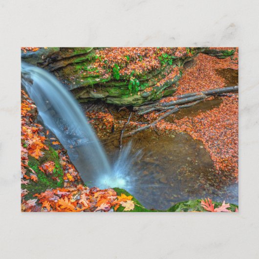 Dundee Herfsten in Herfst, Ohio Briefkaart (Voorkant)
