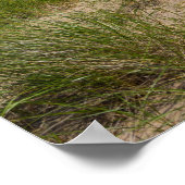 Dune en haver poster (Hoek)