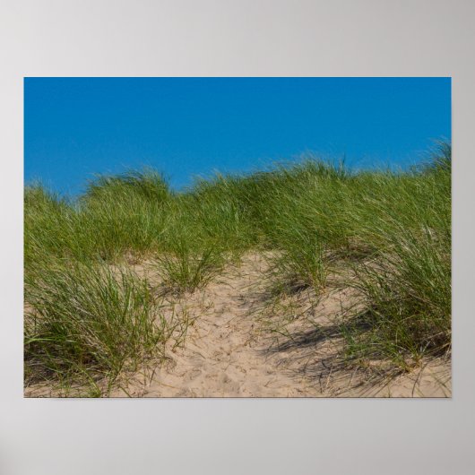 Dune en haver poster (Voorkant)