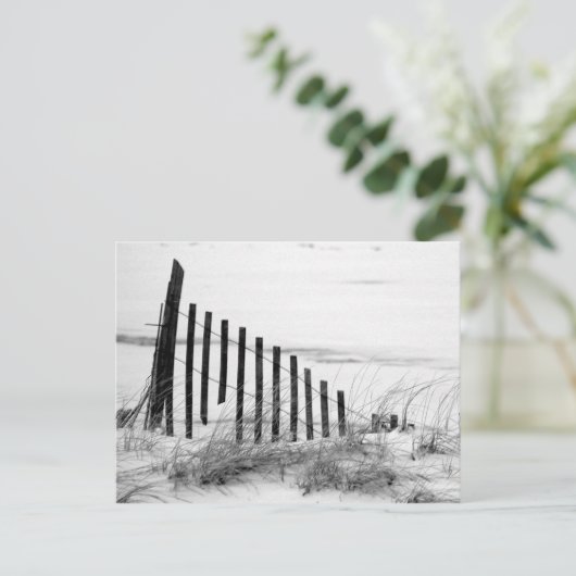 Dune Fence in Snow Briefkaart (Staand voorkant)